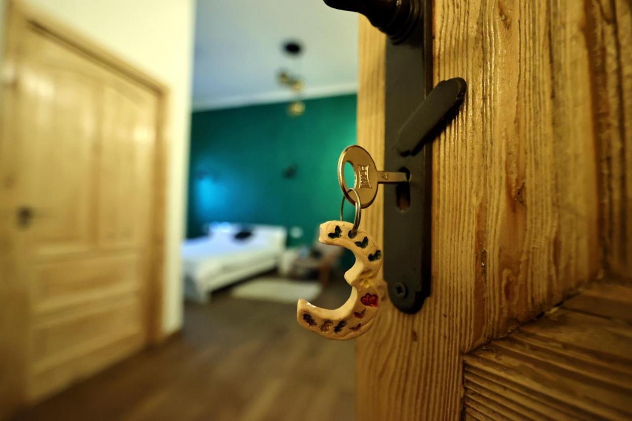 Branko'S Residence 티미쇼아라 외부 사진